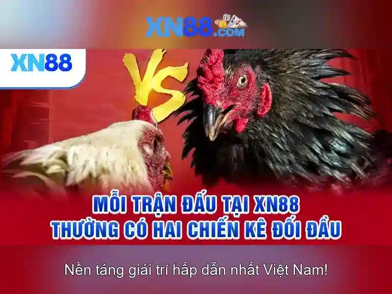 Xn88: Tổng quan về nền tảng trực tuyến
