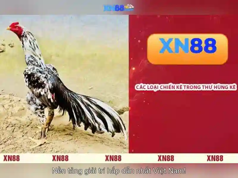 xn88 và thế giới trò chơi trực tuyến