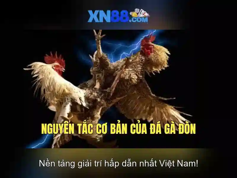 Xn88 - Khám phá một thương hiệu và cộng đồng trực tuyến