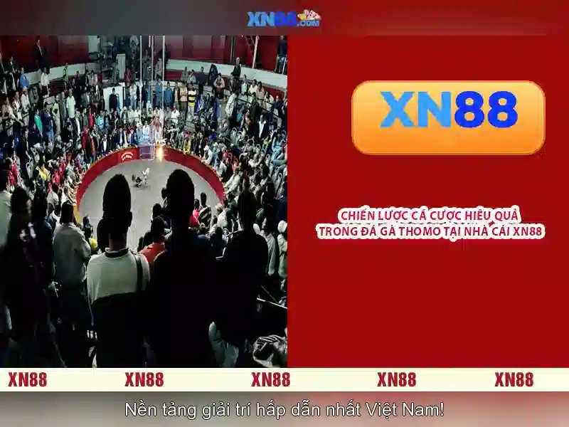 Xn88: Nền tảng giải trí trực tuyến và các trò chơi hàng đầu