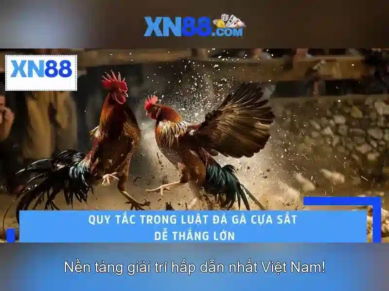 Đánh giá và cộng đồng xn88