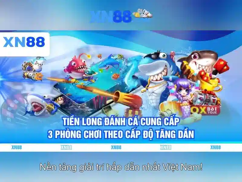 xn88: một nền tảng số và cộng đồng trực tuyến