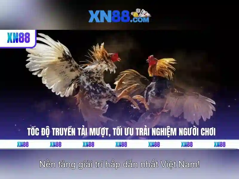 xn88: Đánh giá, nguồn gốc và hướng dẫn tham gia