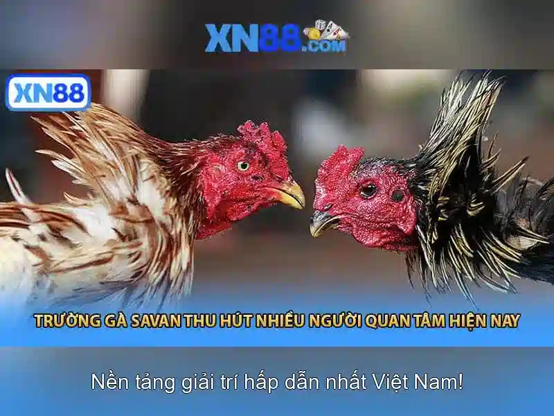 An toan va su dung