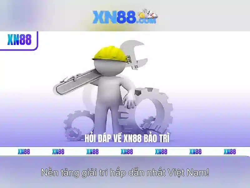 Kết luận