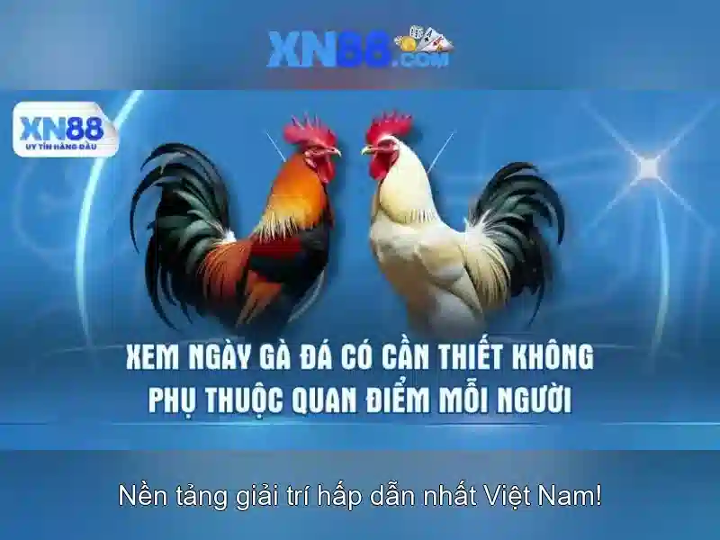 An toàn và trách nhiệm khi tham gia XN88