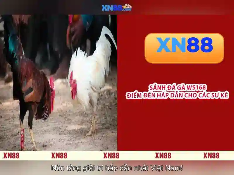 XN88: Nền tảng game trực tuyến và những điều bạn nên biết