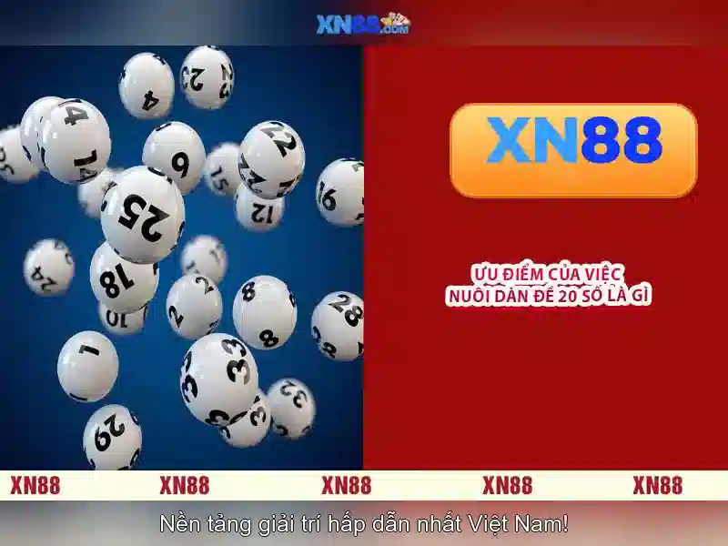 Trach nhiem nguoi choi va quy tac dat cuoc cong bang