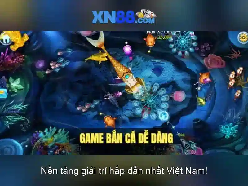 Minh-hoa-quy-trinh-dang-ky