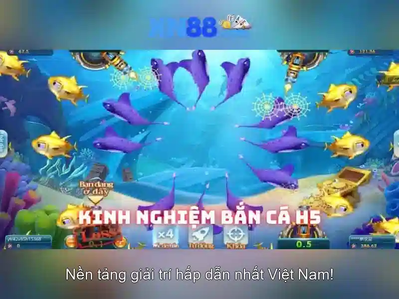 Giới thiệu về xn88
