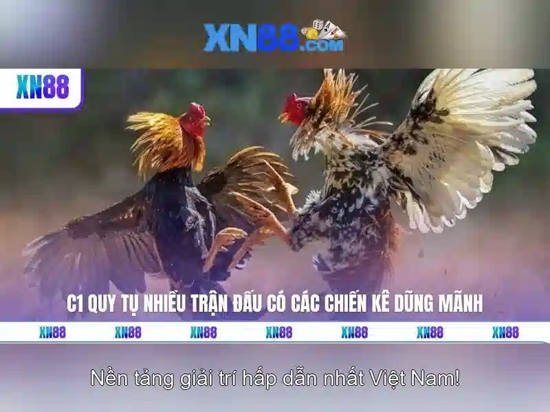 xn88: Tổng quan và đánh giá nền tảng chơi trực tuyến