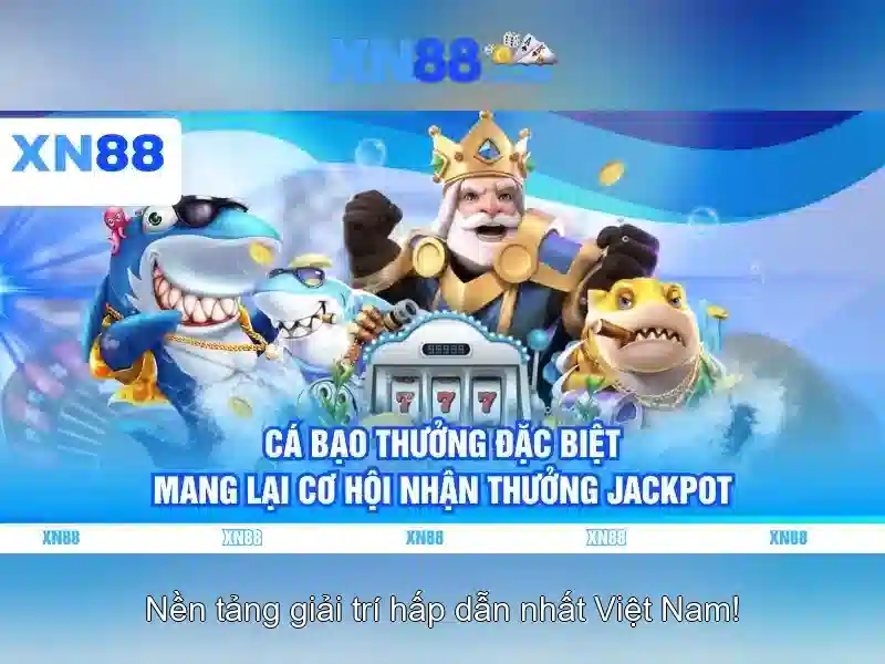 Kết luận về xn88