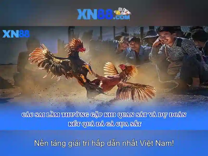 Giới thiệu về xn88