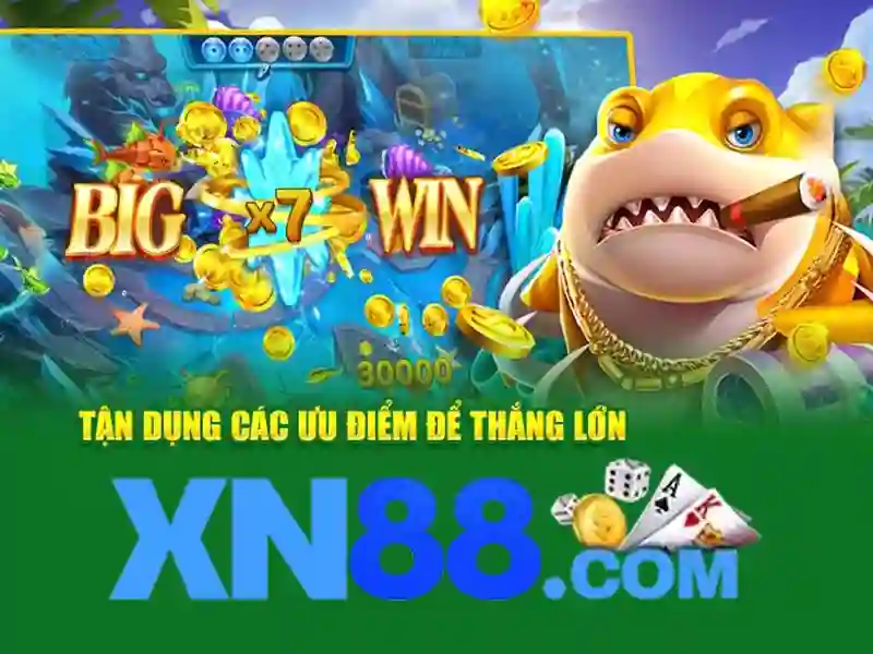 xn88: Nha cai online - Nhung dieu can biet